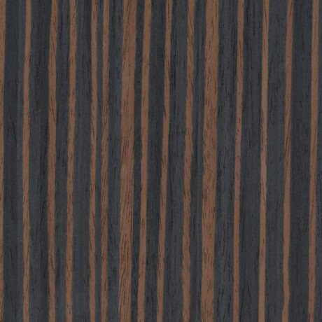 EBEN (0102PI)