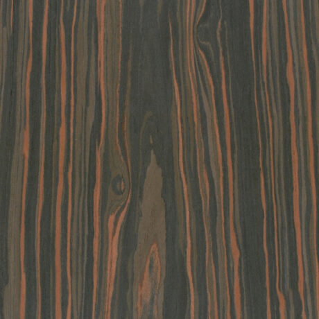 EBEN CAYENNE (3009F3)